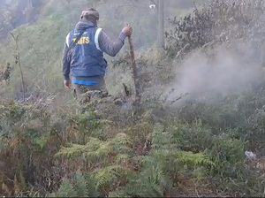Hutan Bukit Kingkong Kawasan Bromo Terbakar Hutan Bukit Kingkong Kawasan Bromo Terbakar