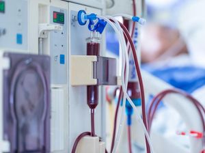 Biang Kerok Kasus Gagal Ginjal Naik di Usia Muda, Makin Banyak yang Cuci Darah Biang Kerok Kasus Gagal Ginjal Naik di Usia Muda, Makin Banyak yang Cuci Darah