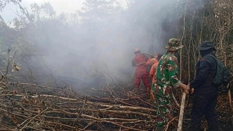 Empat Wilayah di Sumsel Masih Terjadi Karhutla, Ini Sebarannya