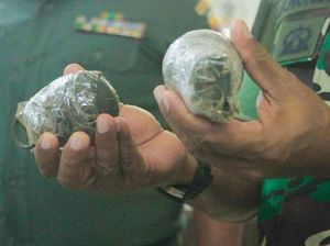 Tentara Temukan Dua Granat Aktif Saat Bedah Rumah Warga di Kupang Tentara Temukan Dua Granat Aktif Saat Bedah Rumah Warga di Kupang