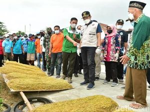 Luas Tanam Tembakau Tahun 2024 di Lamongan Meningkat Luas Tanam Tembakau Tahun 2024 di Lamongan Meningkat