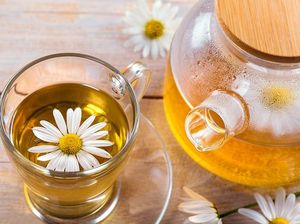Ini Waktu yang Tepat untuk Minum Teh Sesuai dengan Jenisnya Ini Waktu yang Tepat untuk Minum Teh Sesuai dengan Jenisnya