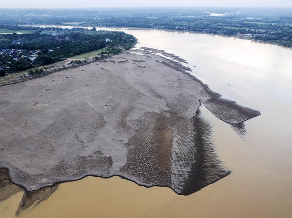 Potret Air Sungai Batanghari Surut Akibat Kemarau