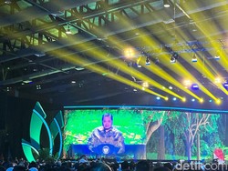 Airlangga Sebut Pekebun Sawit Bisa Ajukan Dana PSR Rp 60 Juta