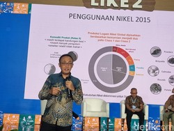 Gencarnya Industri EV Bikin Nikel Kadar Rendah Makin Seksi, Kok Bisa?