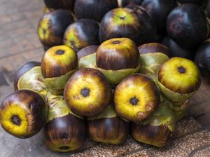 12 Manfaat Buah Lontar bagi Kesehatan, Salah Satunya Bisa Atasi Stres 12 Manfaat Buah Lontar bagi Kesehatan, Salah Satunya Bisa Atasi Stres