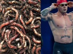 Ngeri! Atlet Ini Temukan Cacing pada Menu Ikan di Olimpiade Paris