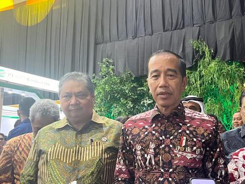 Jokowi Tekankan Sektor Energi hingga Tambang Harus Punya Nursery