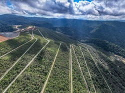 Perusahaan Tambang AMMAN Terima Penghargaan The Copper Mark