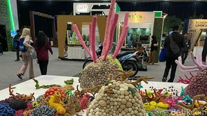 Rajutan Mang Moel Hiasi Festival LIKE 2