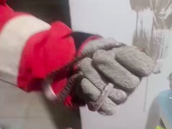 Ular Masuk ke Rumah, Warga Jaksel Nge-DM Instagram Damkar Minta Bantuan