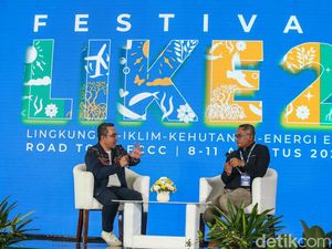 Begini Cara Freeport Percepat Pemulihan Ekosistem Mangrove di Pesisir Mimika Begini Cara Freeport Percepat Pemulihan Ekosistem Mangrove di Pesisir Mimika