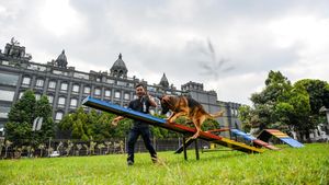 Wow! Ada Hotel Hewan Peliharaan Pertama di Bandung