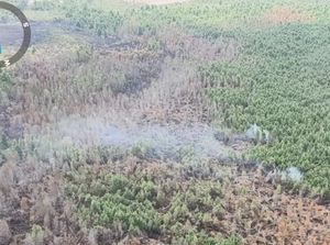 Karhutla di PALI Sisakan Spot Kecil Usai Terbakar Selama 15 Hari Karhutla di PALI Sisakan Spot Kecil Usai Terbakar Selama 15 Hari