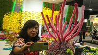 Melihat Pameran Instalasi Kehidupan Bawah Laut di Festival LIKE 2