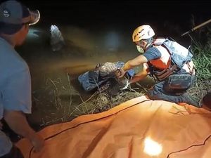 Pamit Mancing, Kahpi Ditemukan Tewas Diterkam Buaya Sungai di Bangka Pamit Mancing, Kahpi Ditemukan Tewas Diterkam Buaya Sungai di Bangka