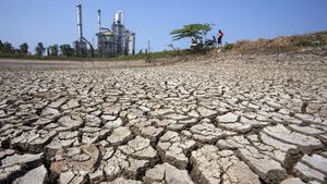 Embung Irigasi di Balongan Indramayu Mengering