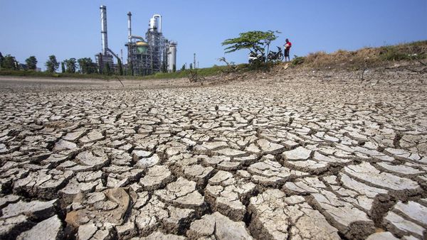 Embung Irigasi di Balongan Indramayu Mengering