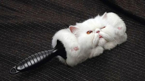 Ketika Brand Harus Kreatif Bikin Iklan, Ini Hasilnya