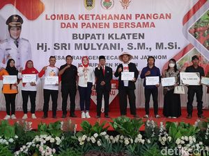 Panen Bersama, Bupati Klaten Ajak Masyarakat Wujudkan Ketahanan Pangan