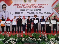 Panen Bersama, Bupati Klaten Ajak Masyarakat Wujudkan Ketahanan Pangan