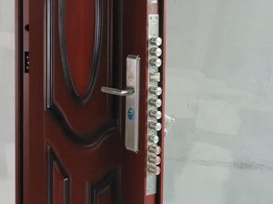 Mau Punya Pintu Kayu tapi Ogah Rayap, Bisa Nggak Ya?