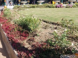 40% Alun-Alun Malang Rusak Usai HUT Arema, Perbaikan Butuh Rp 100 Juta