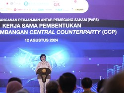 Begini Jurus BI cs Dorong Pengembangan Pasar Uang