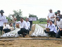 Pj Gubsu Agus Fatoni Komitmen Jaga Kedaulatan Pangan Sumut