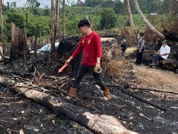 2 Hektare Hutan Konservasi di Tanjabbar Terbakar, 1 Pelaku Diamankan Polisi