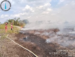 Lahan Dekat Pipa Gas Petrochina Terbakar, Pemadaman Terkendala Angin