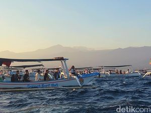 Mengejar Lumba-lumba di Laut Bali Utara Mengejar Lumba-lumba di Laut Bali Utara