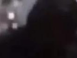 Viral Video Sejoli Berciuman di Alun-alun Merdeka Kota Malang