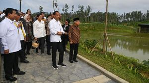 Momen Jokowi Kunjungi Embung Sebelum Rapat Kabinet di IKN
