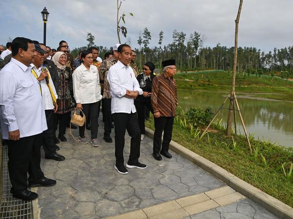 Momen Jokowi Kunjungi Embung Sebelum Rapat Kabinet di IKN