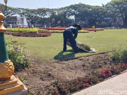 Tanaman Taman Alun-Alun Tugu Malang Rusak Usai Perayaan HUT ke-37 Arema