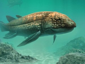 Fosil Ikan Aneh Berusia 210 Juta Tahun Ditemukan, Punya Paru-paru Fosil Ikan Aneh Berusia 210 Juta Tahun Ditemukan, Punya Paru-paru