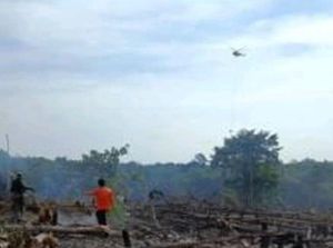 2,5 Hektare Karhutla di 3 Daerah Sumsel Berhasil Dipadamkan