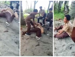 Viral Video Siswa SMP di Lampung Dianiaya Seniornya