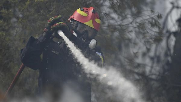 Aksi Damkar Berjibaku Padamkan Kebakaran Hutan di Yunani