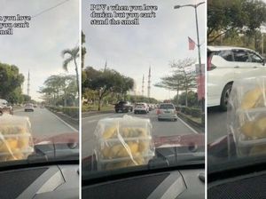 Kreatif! Wanita Ini Taruh Durian di Kap Mobil karena Tak Tahan Baunya