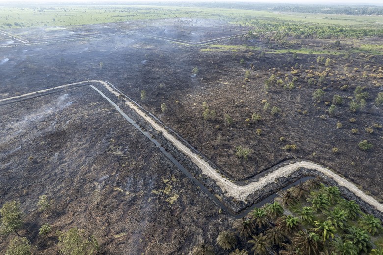 Hari Ke-10 Pemadaman Kebakaran Lahan Gambut di Riau