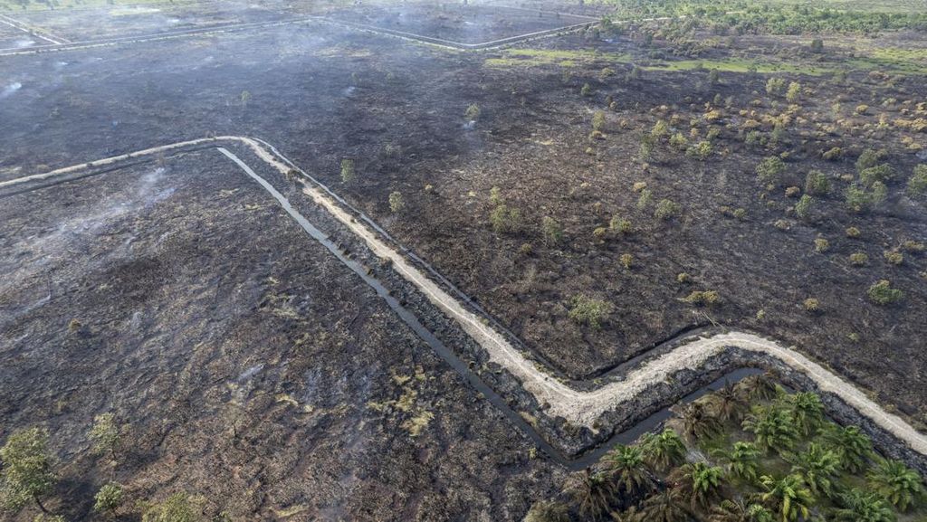 Lahan di Tanjung Jabung Barat Gundul Dilalap Api Lahan di Tanjung Jabung Barat Gundul Dilalap Api