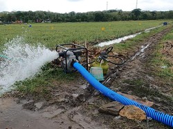 Mentan Masifkan Pompanisasi untuk Hadapi Kekeringan Panjang