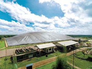 Musim Mas Bagi Pengalaman soal Konservasi dan Pengurangan Emisi GRK