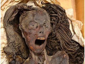 Penampakan Mumi Kuno Screaming Woman dan Alasan Ekspresinya Menjerit