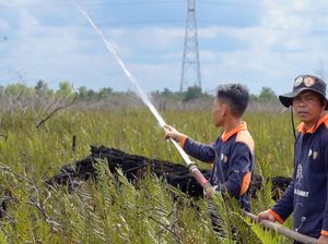 Restorasi Permanen Disebut Solusi Pemulihan Ekosistem Gambut Berkelanjutan Restorasi Permanen Disebut Solusi Pemulihan Ekosistem Gambut Berkelanjutan
