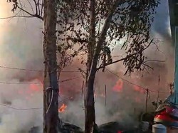 Lapak di Pejagalan Jakut Kebakaran, Asap Hitam Membubung