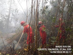 Karhutla di OKI Belum Padam dan Makin Meluas, Dipicu Angin Kencang