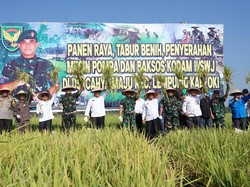 Panen Raya di OKI, Pangdam II Sriwijaya Ajak Petani Tingkatkan Produktivitas